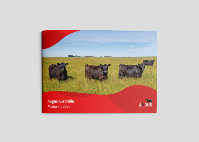 Angus Media Kit1
