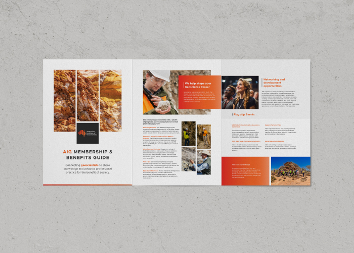 AIG Brochure Portfolio