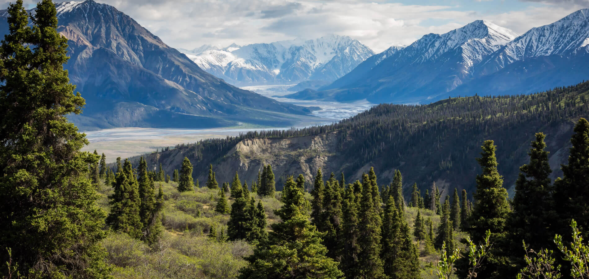 Marketing-Eye-home-Banner2