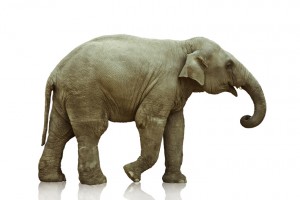 The Elephant in the Agency Room The Elephant in the Agency Room
