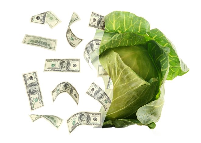 Funding Entrepreneurial Growth: Kabbage Financing the Future