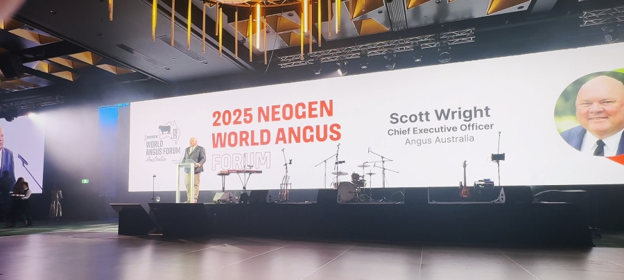 Angus Australia