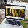Mexico City Food Products - Food Production