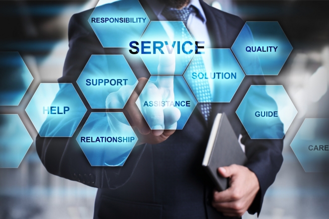 Solutions Versus Services
