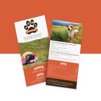 PAWS In The Outdoors - Camping | Education and Adventure Program