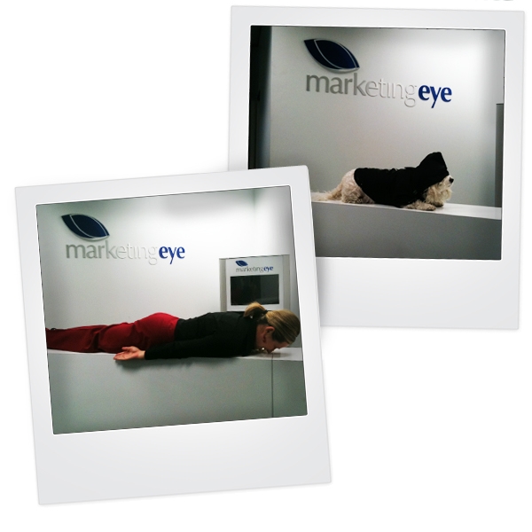 Planking... who would have thought? CEO does it again. Blog
