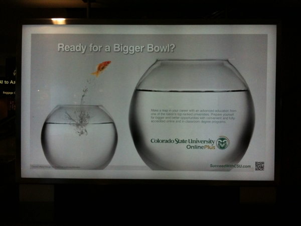 Denver Airport Billboard Blog