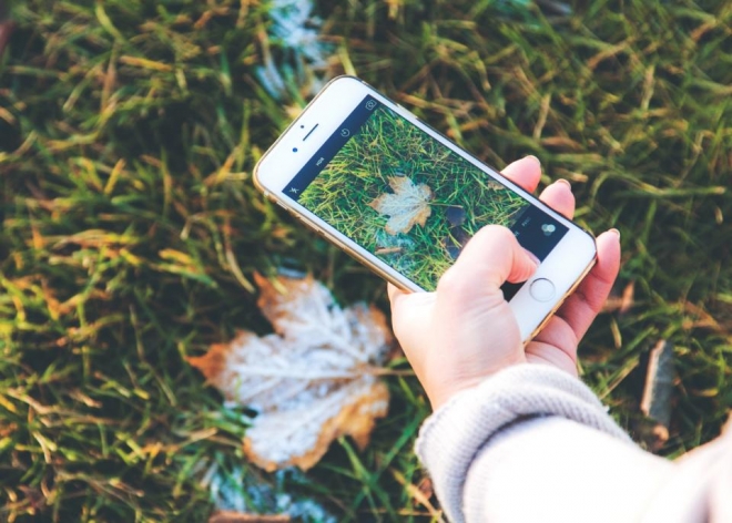 Apple’s Magnificent iPhone Blog