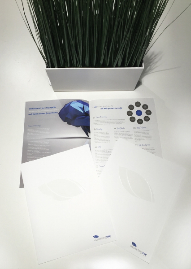 The Cheeky Way To Say To Prospects That Direct Mail Still Gets Your Attention Blog