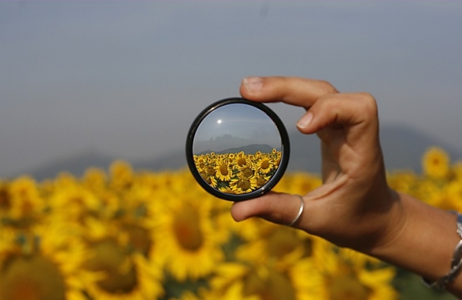 The Transparent Effect Blog