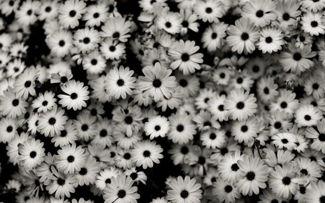 Making Marketing Less Gray Blog