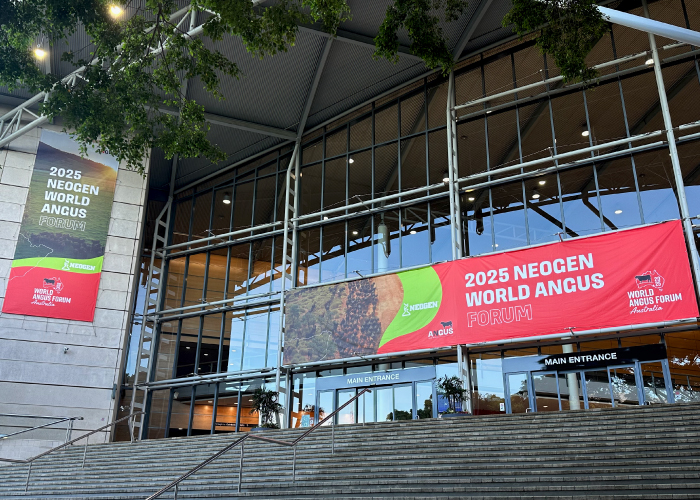 WAF Banner 3