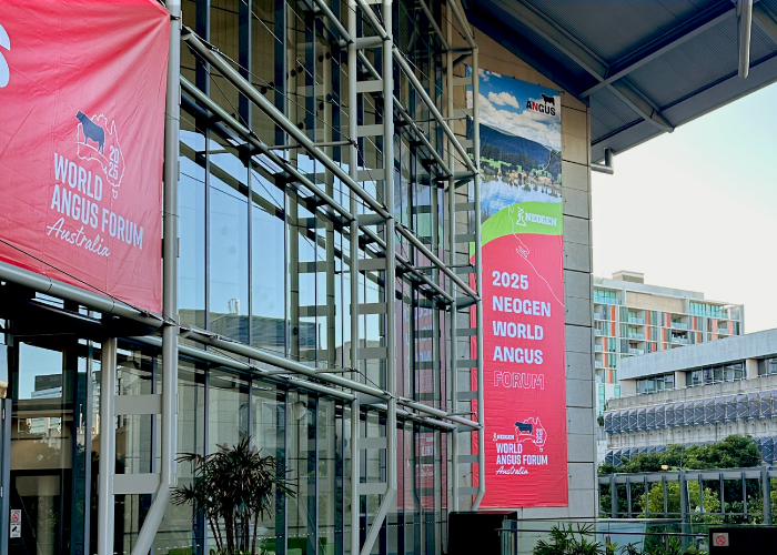 WAF Banner