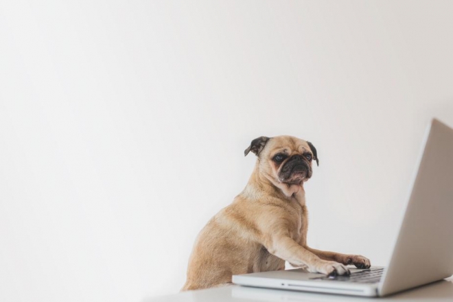 How is Your Company Culture Affecting Your Brand? Blog