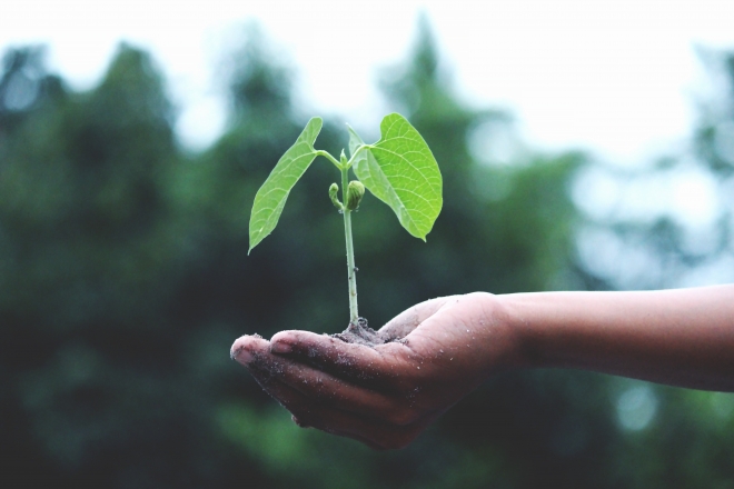 Growth Marketing and How to Use It Blog
