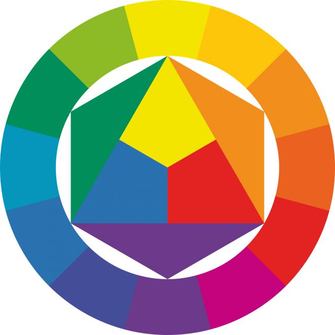 Color Theory in Branding Blog