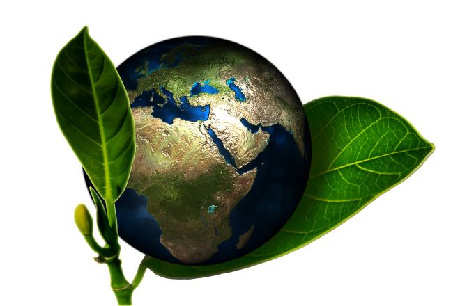 Lessening Your Environmental Impact Blog