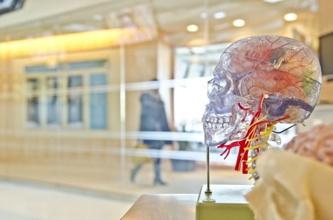 Why a healthy knowledge of Psychology helps you as a marketer. Blog