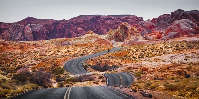 Entrepreneurship is one bumpy road, don’t be fooled Blog