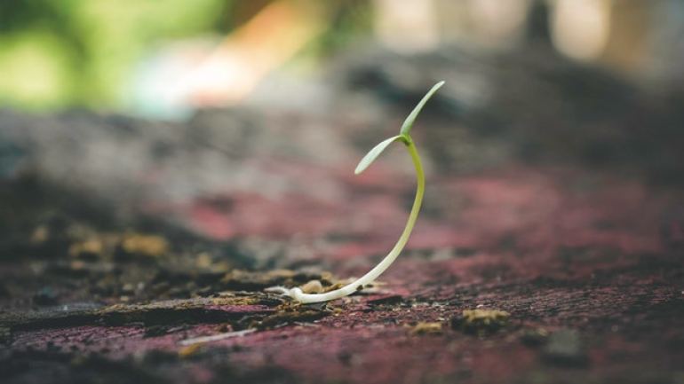 What the Resurgence Fund Means for Atlanta Businesses Blog