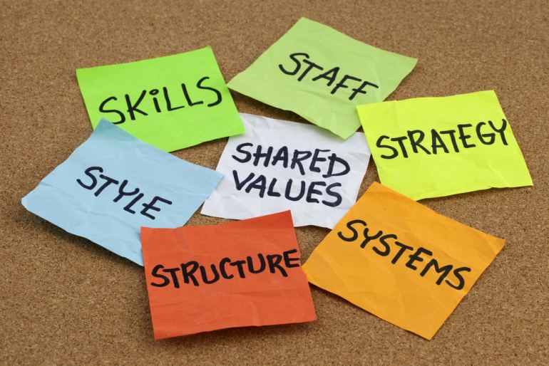 Enhancing Organizational Success: A Deep Dive into the McKinsey 7S Model with Real-Life Case Studies Blog