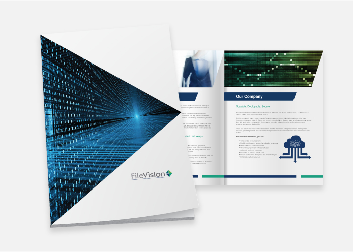 FileVision-3
